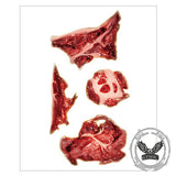 10 Pcs Halloween Horror Wound Temporary Tattoo Stickers