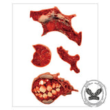 10 Pcs Halloween Horror Wound Temporary Tattoo Stickers