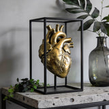 Anatomical Heart Shape Resin Multi-Functional Vase