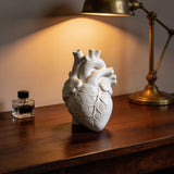 Anatomical Heart Shape Resin Multi-Functional Vase