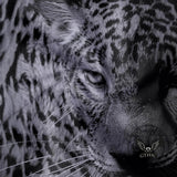 Fashion Wild Cheetah Print Short Sleeve Polo Shirt | Gthic.com