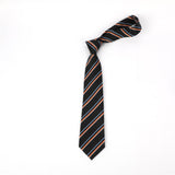 Geometric Check Striped Polyester Tie