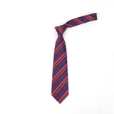 Geometric Check Striped Polyester Tie