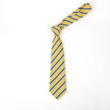 Geometric Check Striped Polyester Tie
