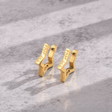 Pentagram Viking Rune Stainless Steel Stud Earrings | Gthic.com