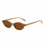 Retro Small Frame UV Protection PC Oval Sunglasses
