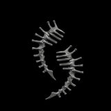 Thorn Spine Mechanical Alloy Skull Ear Cuff | Gthic.com