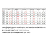 Vintage Medieval Renaissance Lapel Puff Sleeve Solid Shirt | Gthic.com