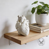 Anatomical Heart Shape Resin Multi-Functional Vase