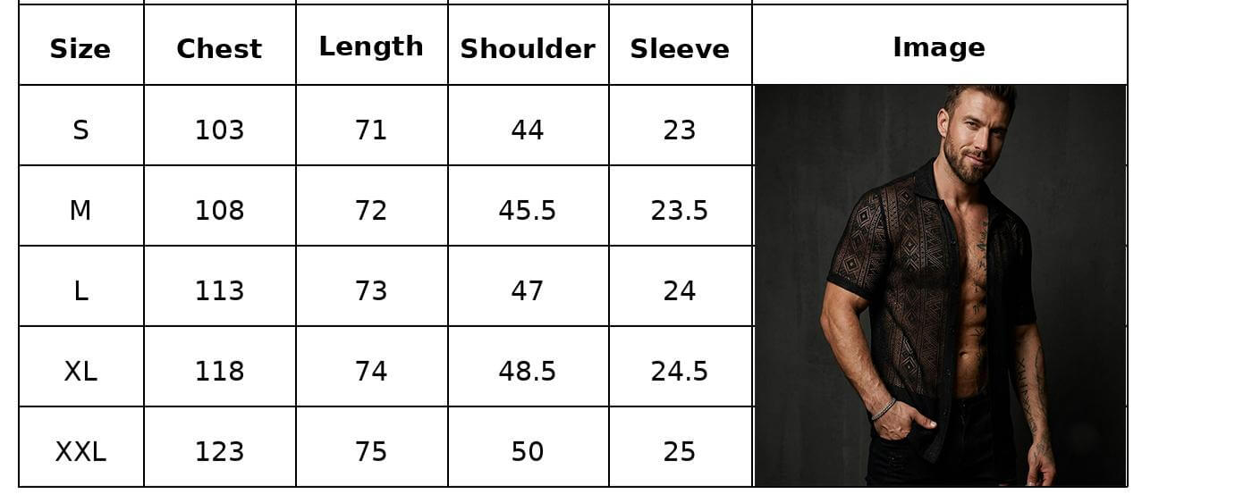 Casual Holiday Sheer Lace Short-Sleeve Shirt