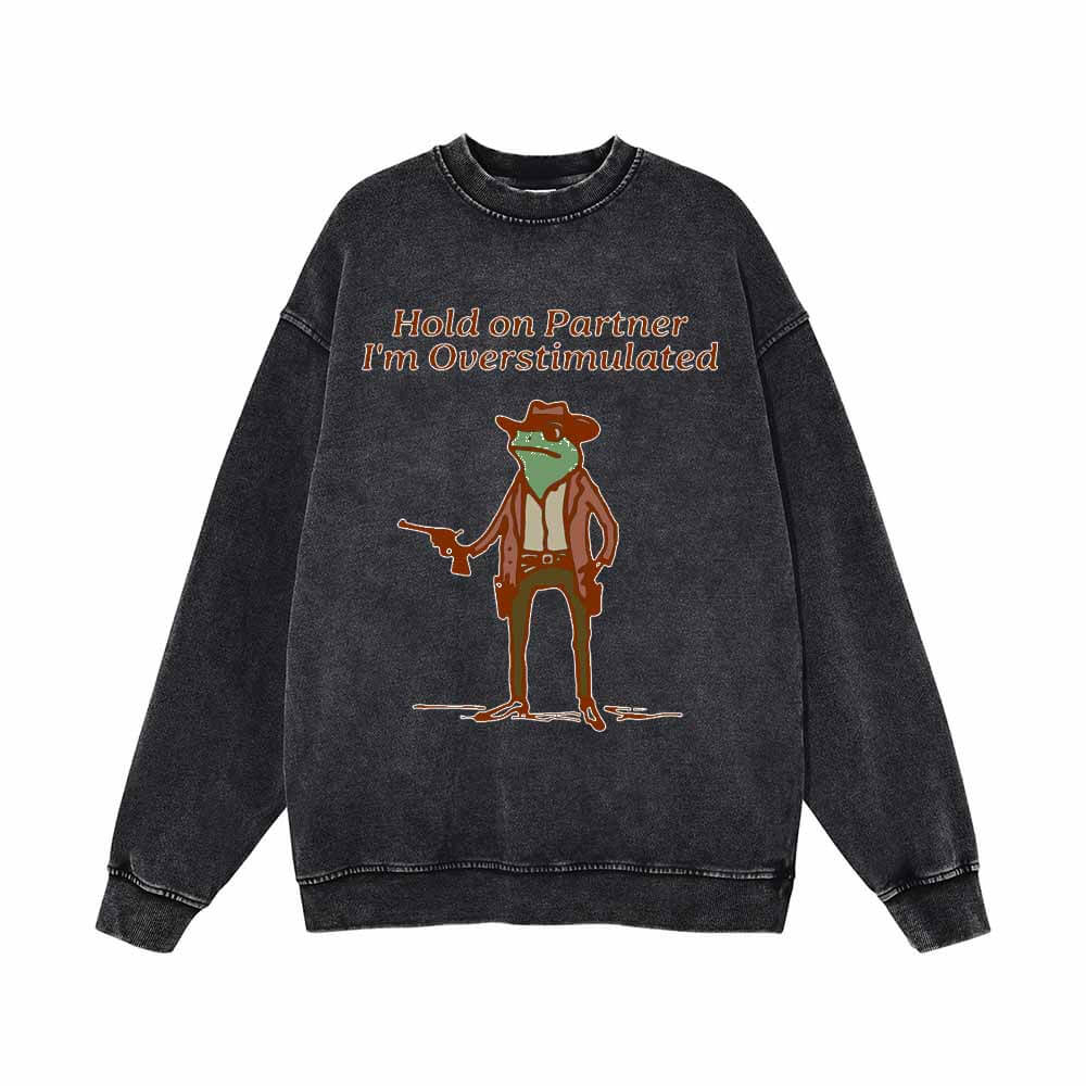 Hold On Partner Frog Cowboy Gunner Pattern Sweatshirt 01 | Gthic.com