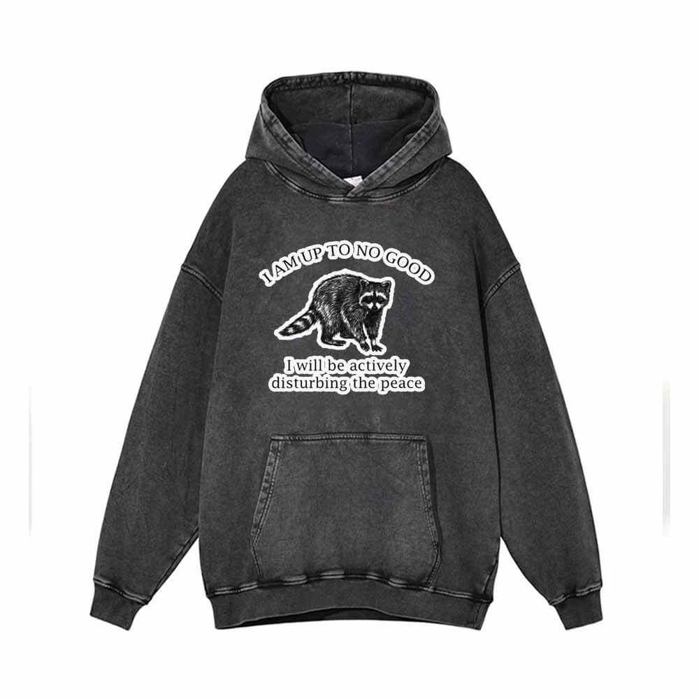 I Am Up To No Good Vintage Washed Hoodie | Gthic.com