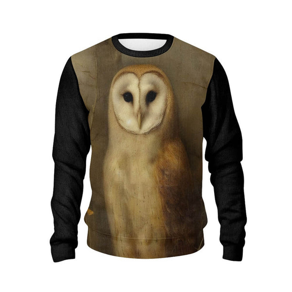 Lovely Barn Owl Pattern Knitted Pullover Sweatshirt 02 | Gthic.com