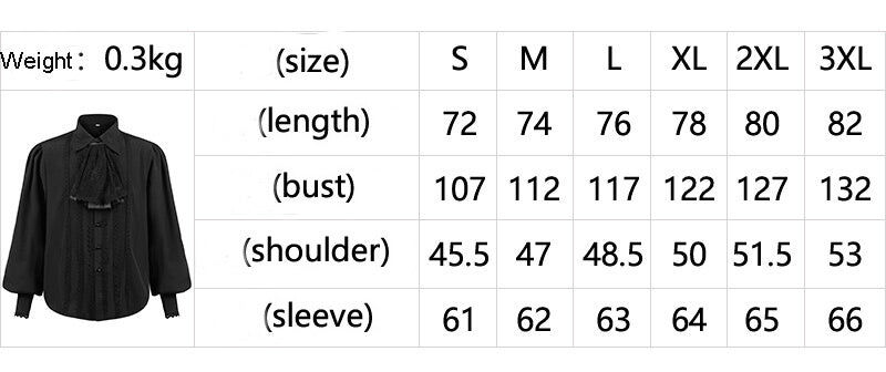 Medieval Victorian Lace Trim Pleated Shirt | Gthic.com