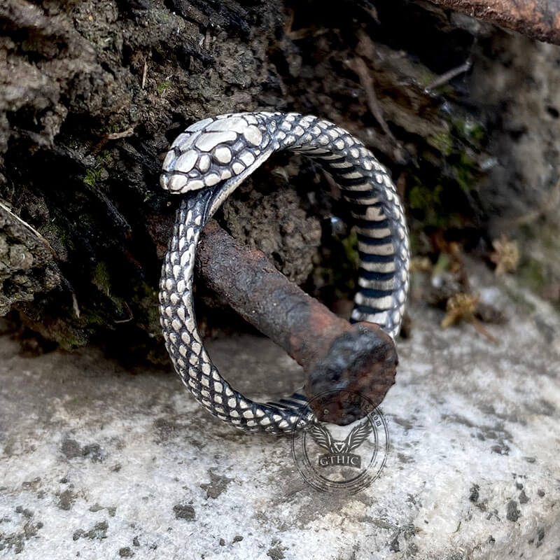 Ouroboros Snake Sterling Silver Ring | Gthic.com