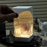 Pantheon Aromatherapy Essential Oil Crystal Night Light Figurine | Gthic.com
