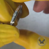 Simple Single-Row Zircon Stainless Steel Spinner Ring