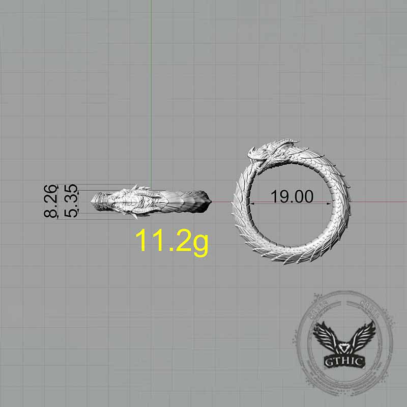 Punk Ouroboros Snake Sterling Silver Ring