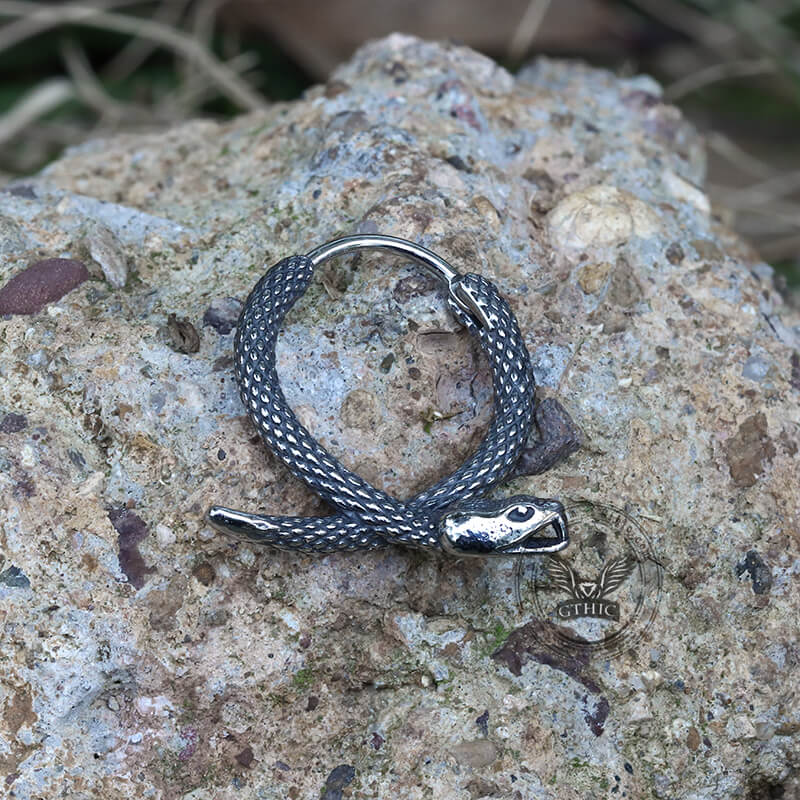 Rattlesnake Stainless Steel Snake Earrings | Gthic.com