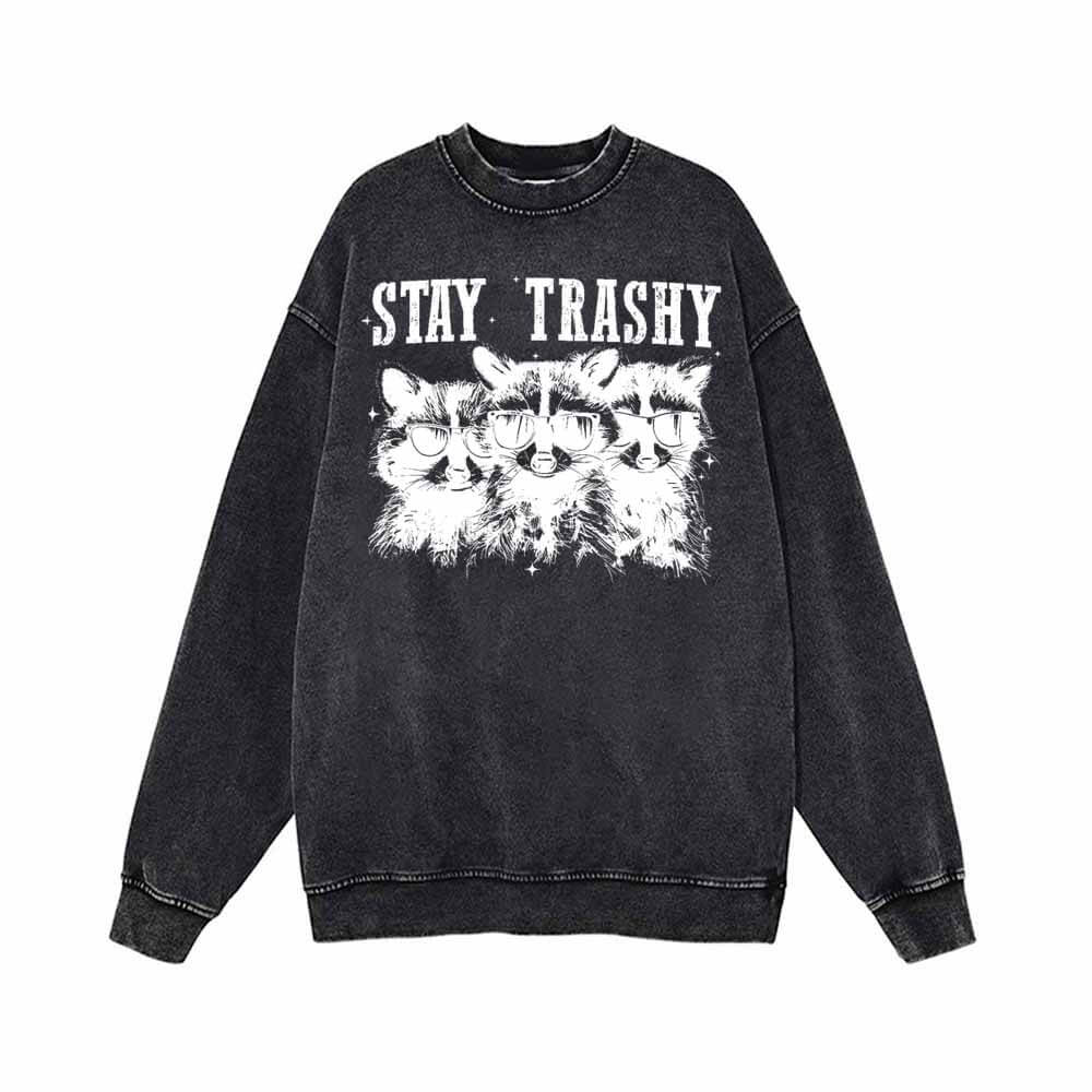 Stay Trashy Raccoon Vintage Washed Hoodie Sweatshirt | Gthic.com