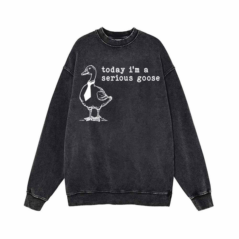 Today I’m A Serious Goose Vintage Washed Sweatshirt