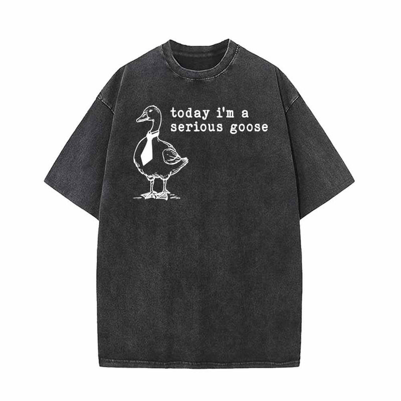 Today I’m A Serious Goose Vintage Washed T-shirt | Gthic.com