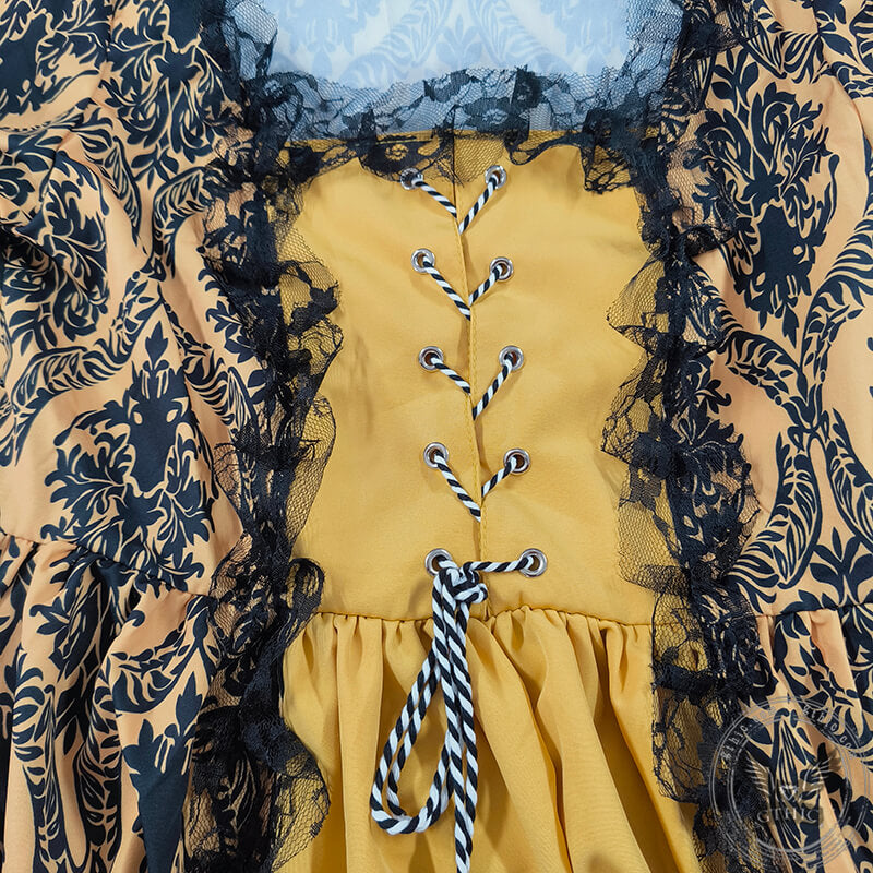 Vintage Jacquard Court Costume Gowns Dress