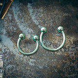 2 Pcs Horseshoe G23 Titanium Nose Ring Set