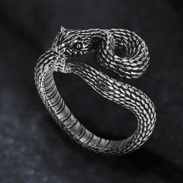 Entwined Snake Stainless Steel Ring 01 | Gthic.com