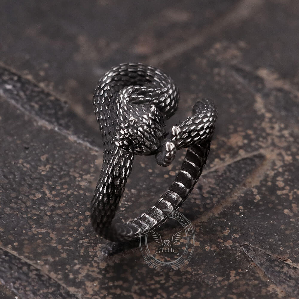 Entwined Snake Stainless Steel Ring