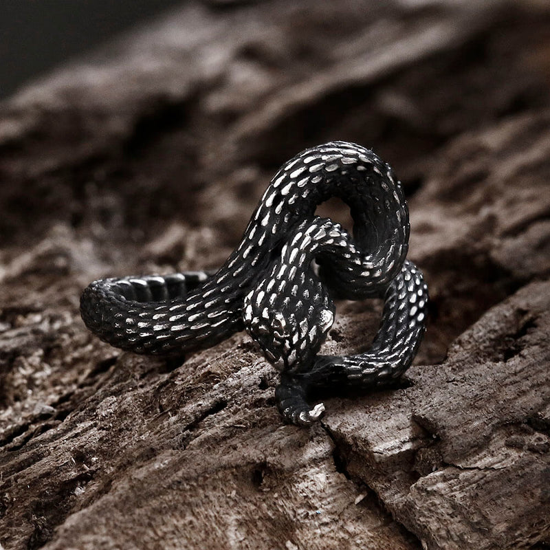 Entwined Snake Stainless Steel Ring 03 | Gthic.com