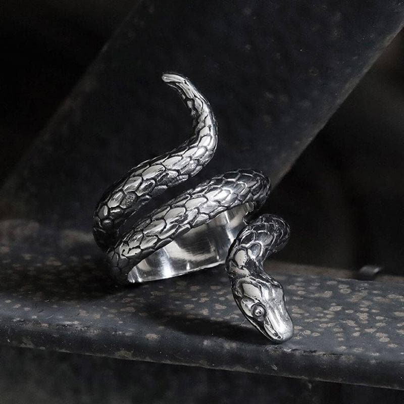 Retro Punk Winding Snake Cobra Stainless Steel Ring01 silver | Gthic.com